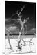 Premium Photographic Print