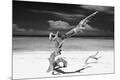 Premium Photographic Print