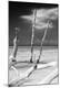 Premium Photographic Print