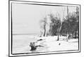 Photographic Print