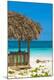 Premium Photographic Print