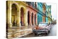 Stretched Canvas Print