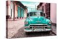 Stretched Canvas Print