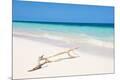 Premium Photographic Print
