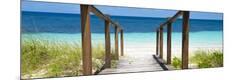 Premium Photographic Print