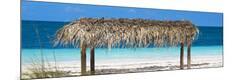 Premium Photographic Print