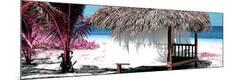 Premium Photographic Print