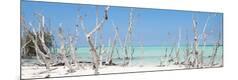 Premium Photographic Print