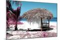 Photographic Print