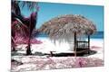 Premium Photographic Print