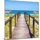 Premium Photographic Print