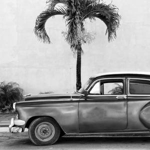 Beautiful Classic Cars Black And White Photography Artwork