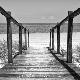 Premium Photographic Print
