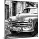 Photographic Print