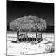 Premium Photographic Print