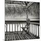 Premium Photographic Print