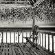 Premium Photographic Print