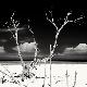 Premium Photographic Print