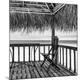 Premium Photographic Print