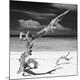 Premium Photographic Print