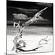 Premium Photographic Print