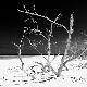 Premium Photographic Print