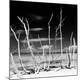 Premium Photographic Print