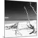 Premium Photographic Print