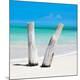 Premium Photographic Print