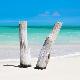 Premium Photographic Print