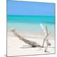 Premium Photographic Print
