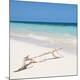 Premium Photographic Print