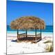 Premium Photographic Print