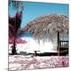 Premium Photographic Print