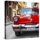 Stretched Canvas Print