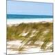 Premium Photographic Print