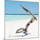 Premium Photographic Print