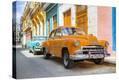 Stretched Canvas Print