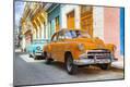 Photographic Print