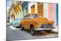 Photographic Print