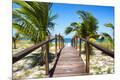 Premium Photographic Print