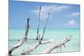 Premium Photographic Print