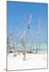 Premium Photographic Print