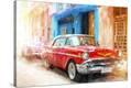 Stretched Canvas Print
