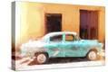 Stretched Canvas Print
