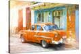 Stretched Canvas Print