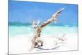 Premium Giclee Print