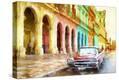 Stretched Canvas Print