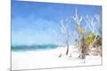 Premium Giclee Print