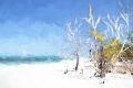 Premium Giclee Print